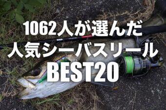 おすすめのシーバス用リールBEST20！1062人が選んだランキング
