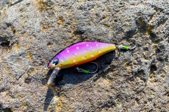渓流ミノー10種セット トラウト　奏　イッセン　ラウド　イメル　エデン　214 を安く販売 渓流ミノー10種セット トラウト 奏 イッセン ラウド