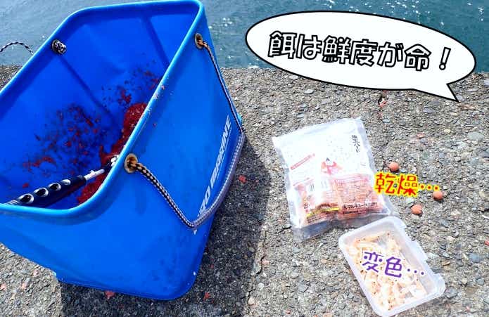 釣り餌