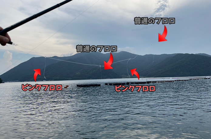 魚に見えないピンクフロロを検証