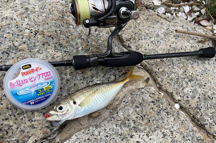 魚に見えないピンクフロロでアジング