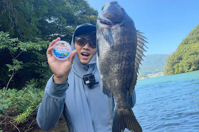 魚に見えないピンクフロロで釣ったチヌ