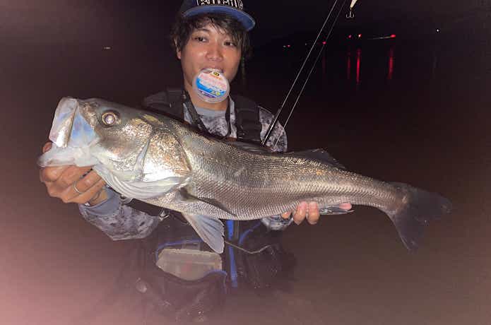 魚に見えないピンクフロロで釣ったシーバス