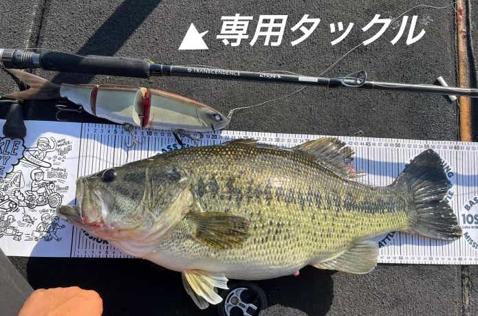 ビッグベイトタックルとバス