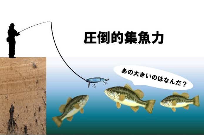 圧倒的集魚力