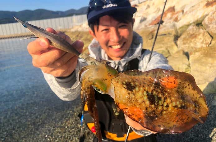 アバニ エギング マックスパワーPE X8でエギング