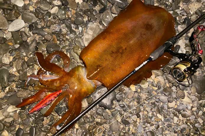 潮流感度も最高レベル