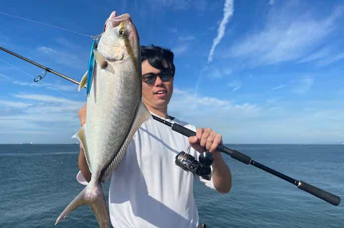 ショアジギングで釣ったシオ