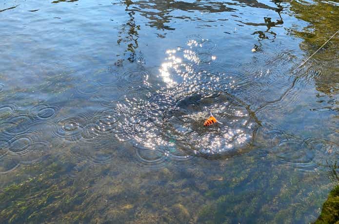ナジーバグの着水音