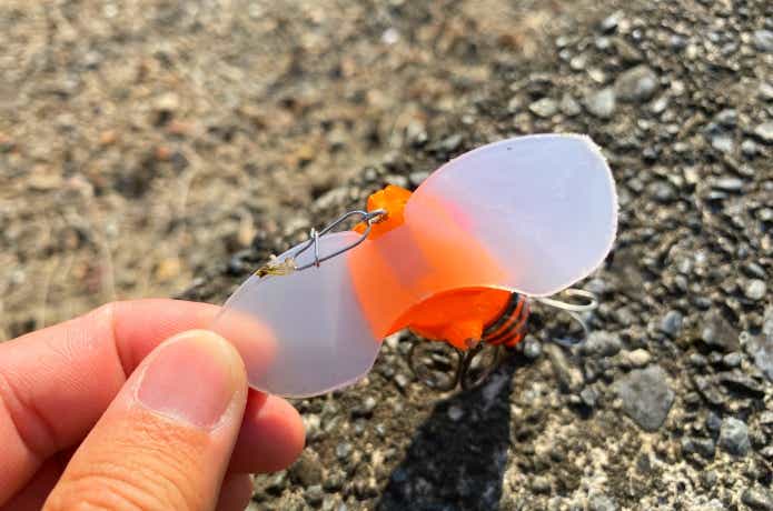 ナジーバグのカップ