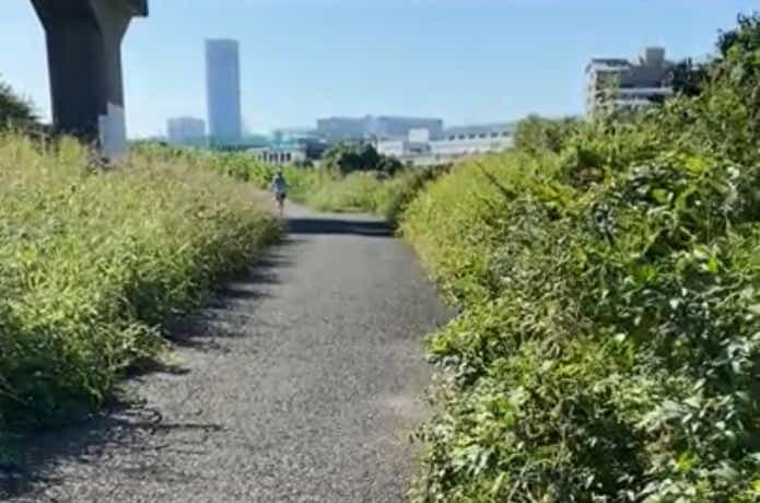 河川敷