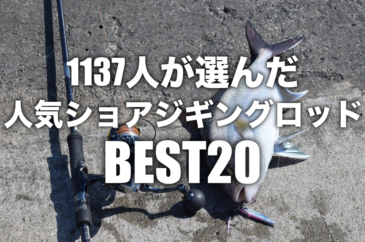 おすすめショアジギングロッドBEST20！1137人が選んだランキング