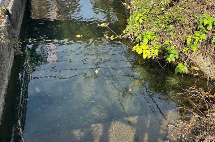 川のトロ場