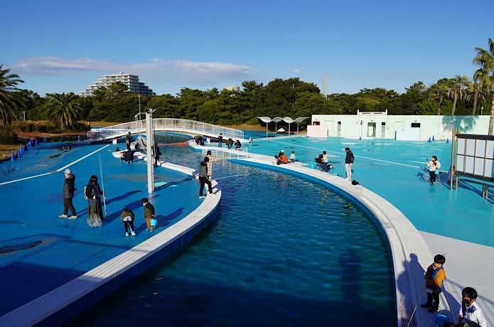 【釣りトピvol.29】冬限定！「稲毛海浜公園プール」がフィッシングパークになってオープン！エサ・ルアー問わず気軽に楽しめる