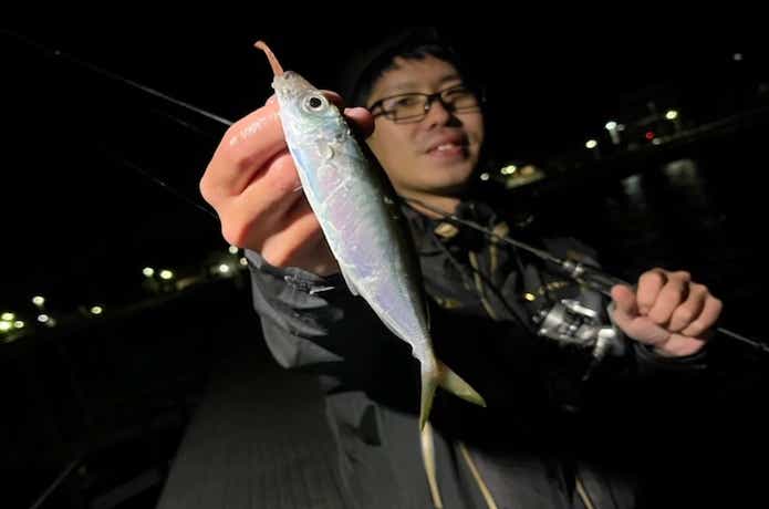 アジングロッドで釣れたアジ