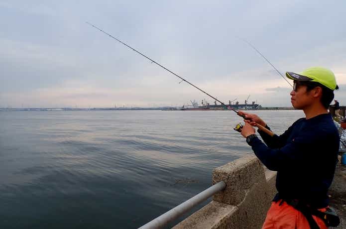 サヨリのルアー釣り