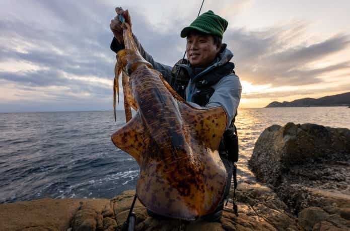 エギングの釣果