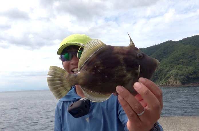 カワハギ釣り