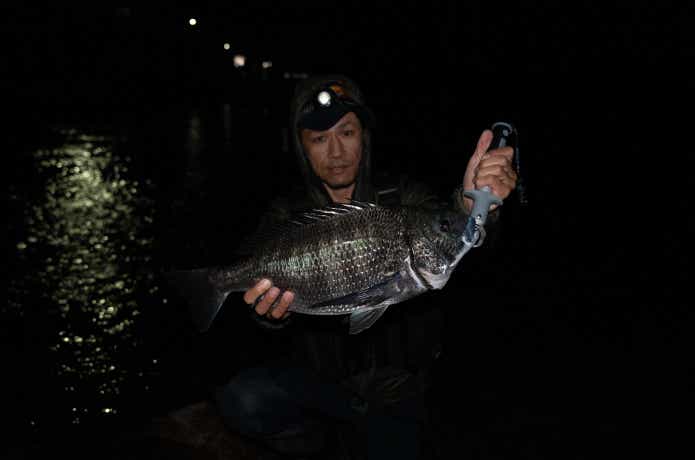 ミドルアッパーで釣ったチヌ