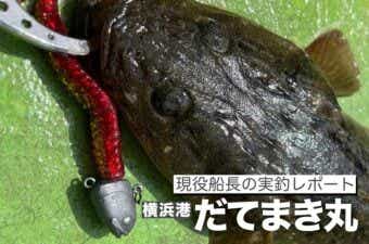【実釣レポート】横浜港『だてまき丸』｜餌釣りで人気のマゴチ専門船はルアーも可能です！