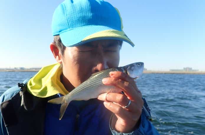 コノシロを嗅ぐ