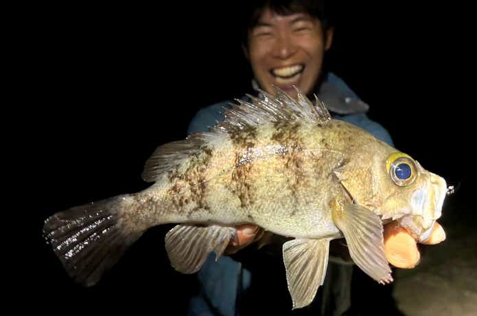 メバルの夜釣り