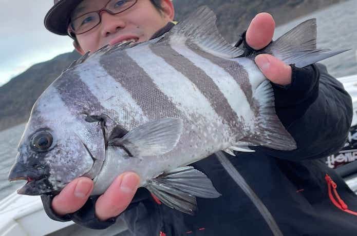 サンバソウの釣果