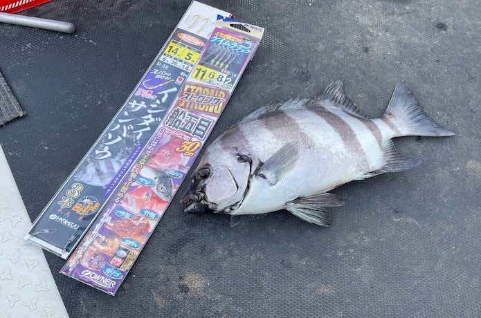 サンバソウ