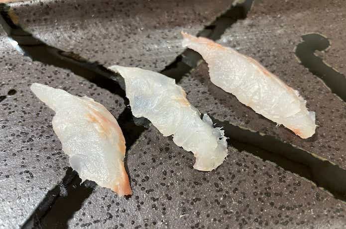 熟成1日目