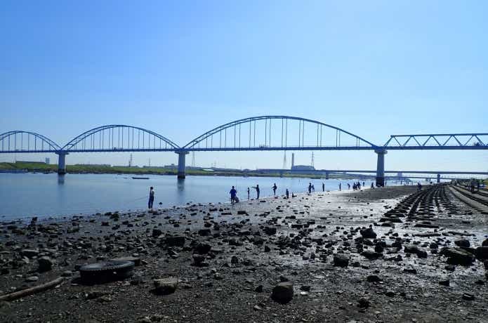 夏