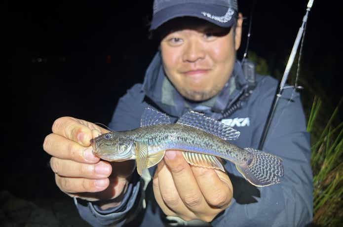 冬のハゼ釣り
