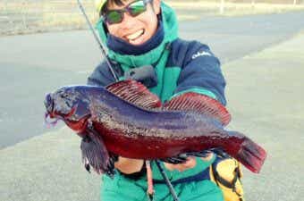 怪魚ハンター山根流・真冬に魚釣りを楽しむコツ