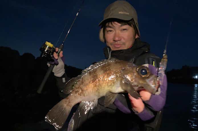 ウェーディングでメバルをキャッチ