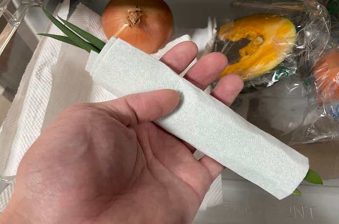 野菜の保存