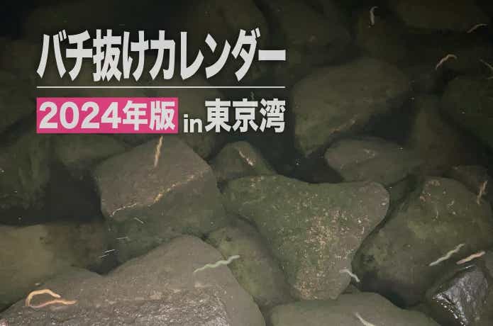 2024年東京湾バチ抜けカレンダー｜攻略のポイントも解説します！
