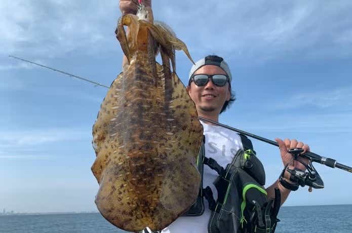 エギングでアオリイカの釣果