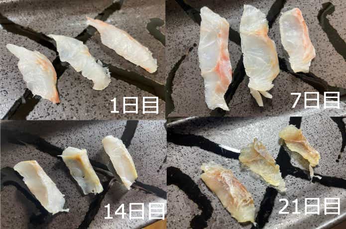 熟成魚の変化
