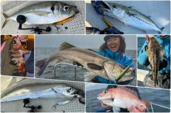 【2024年】3月に釣れる東京湾の魚を特集｜季節を見極めるのがポイント