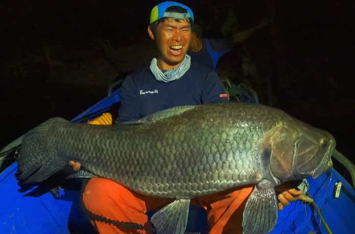 タライロン全長104cm 推定35~40lb 胴周62cm