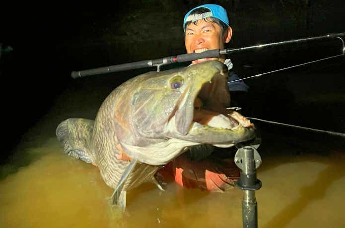 アマゾンの怪魚タライロン