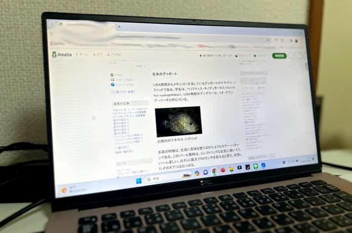 グランデ小川の熱帯魚ブログ