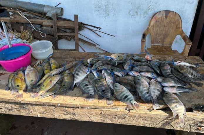 ニカラグア湖の魚市場