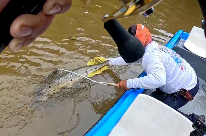 未だ生き残る“1億年前の魚”を追う！中米釣行記＜前編＞ | TSURI