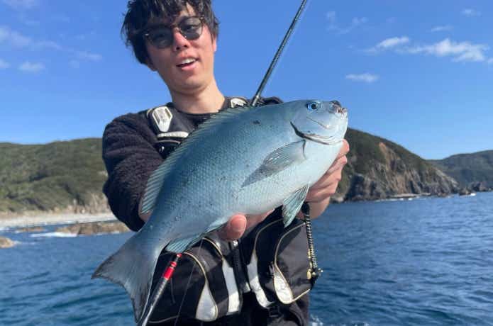 尾長グレ