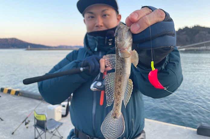 ささめ針  ボウズのがれ ライトゲームで釣れたマハゼ