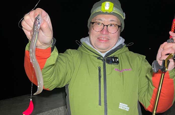 ささめ針  ボウズのがれ ライトゲームで釣れたアナゴ