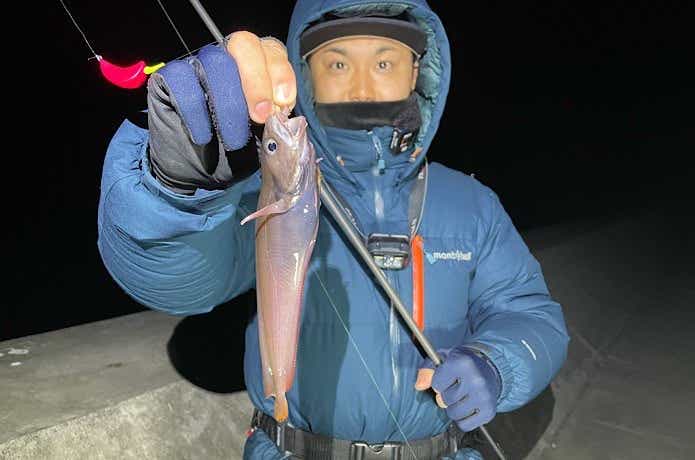ささめ針  ボウズのがれ ライトゲームで釣れたドンコ