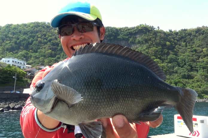 半遊動仕掛けで釣ったメジナ