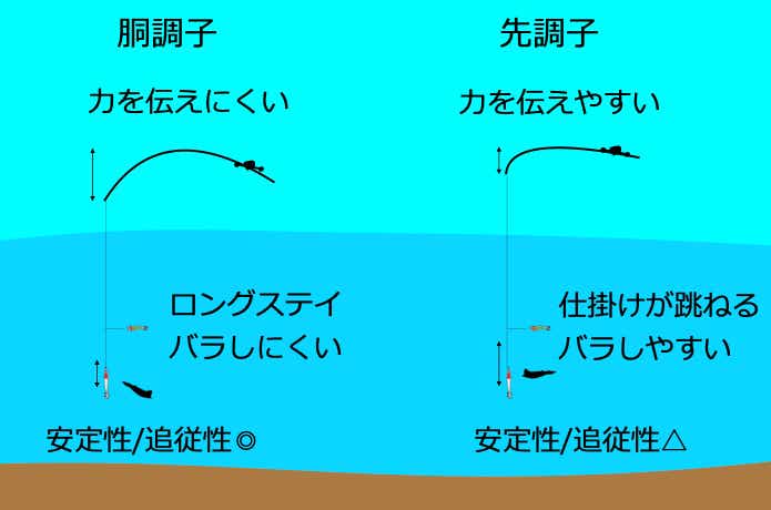胴調子の特徴