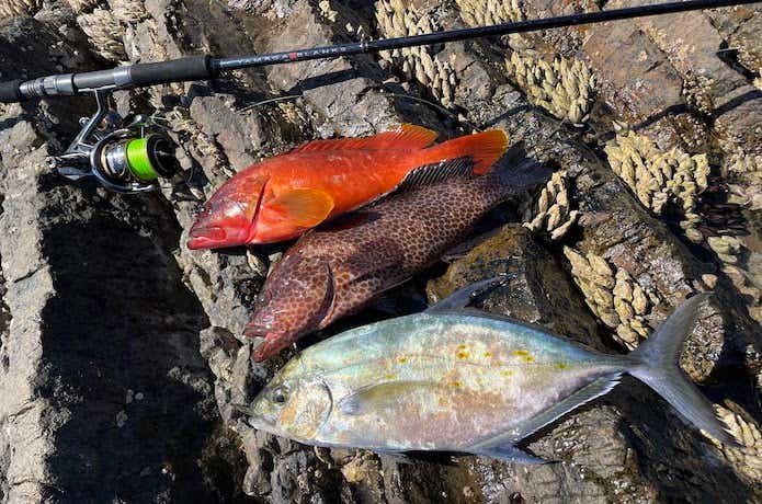 魚種無制限】バーサタイルロッドの究極形が“88”だった！ | TSURI